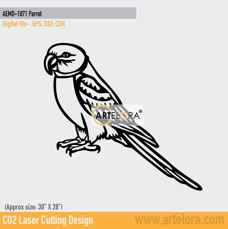 2D Modern Art Dolfen Parrot