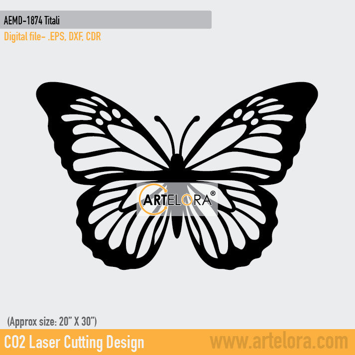 2D Modern Art Dolfen Titali