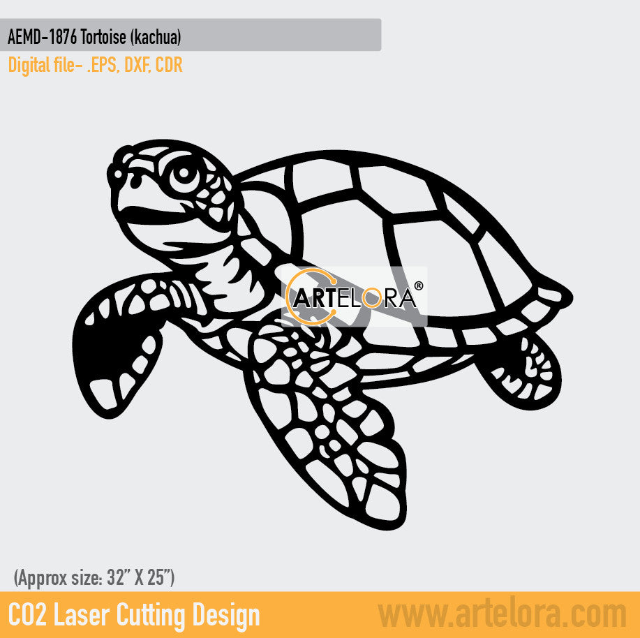 2D Modern Art Tortoise (kachua)
